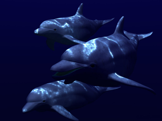 14777 (a): :1600x1200